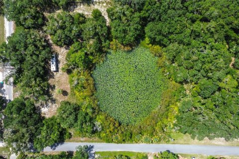 Land in Crystal River, Florida № 1912859 - photo 2