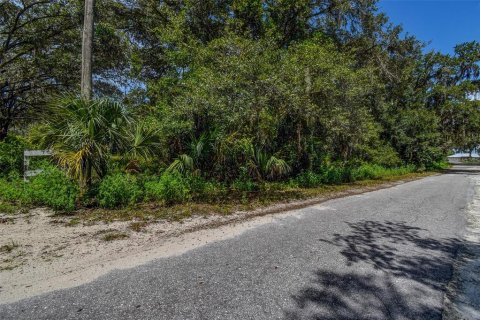 Land in Crystal River, Florida № 1912859 - photo 12