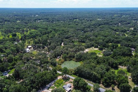 Land in Crystal River, Florida № 1912859 - photo 9