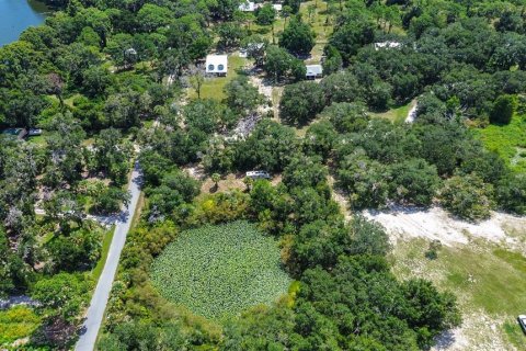 Land in Crystal River, Florida № 1912859 - photo 3