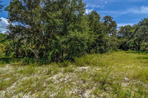 Land in Crystal River, Florida № 1912859 - photo 18