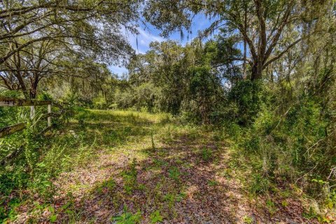 Land in Crystal River, Florida № 1912859 - photo 22