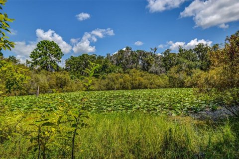 Land in Crystal River, Florida № 1912859 - photo 20