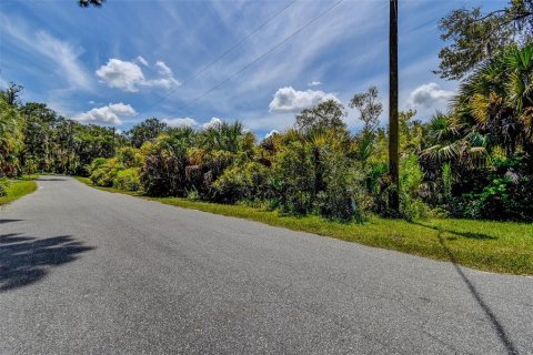 Land in Crystal River, Florida № 1912859 - photo 14