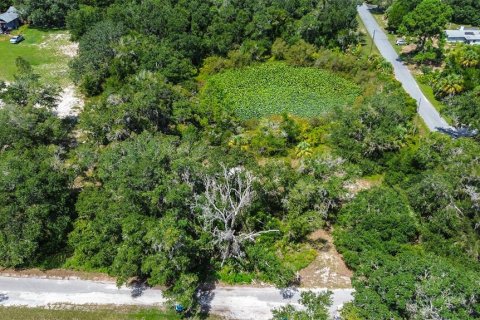 Land in Crystal River, Florida № 1912859 - photo 1