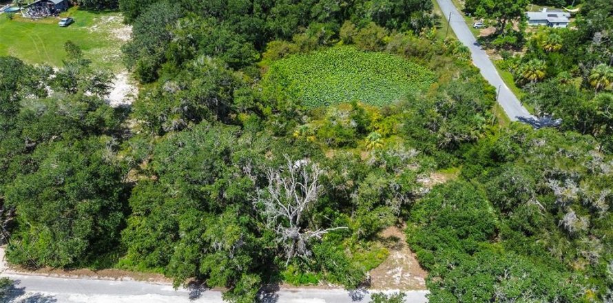 Terreno en Crystal River, Florida № 1912859