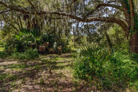 Land in Crystal River, Florida № 1912859 - photo 15