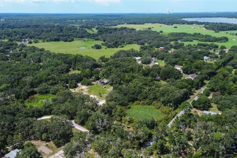 Land in Crystal River, Florida № 1912859 - photo 7