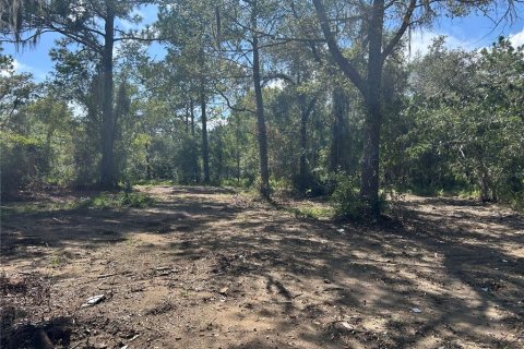Land in Williston, Florida № 2339317