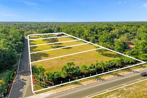 Land in Sanford, Florida № 849139 - photo 2