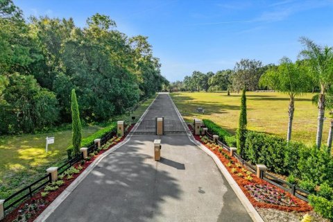 Land in Sanford, Florida № 849139 - photo 10