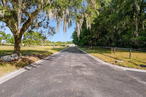 Land in Sanford, Florida № 849139 - photo 14