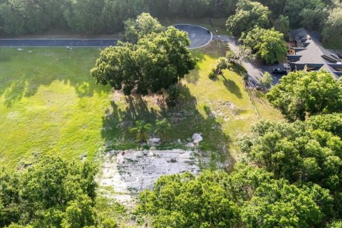 Land in Sanford, Florida № 849139 - photo 19