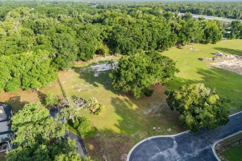Land in Sanford, Florida № 849139 - photo 20
