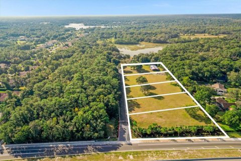 Land in Sanford, Florida № 849139 - photo 4