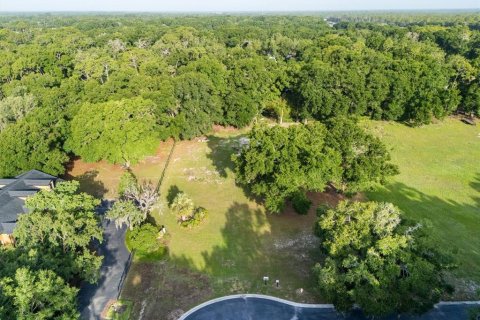 Land in Sanford, Florida № 849139 - photo 21