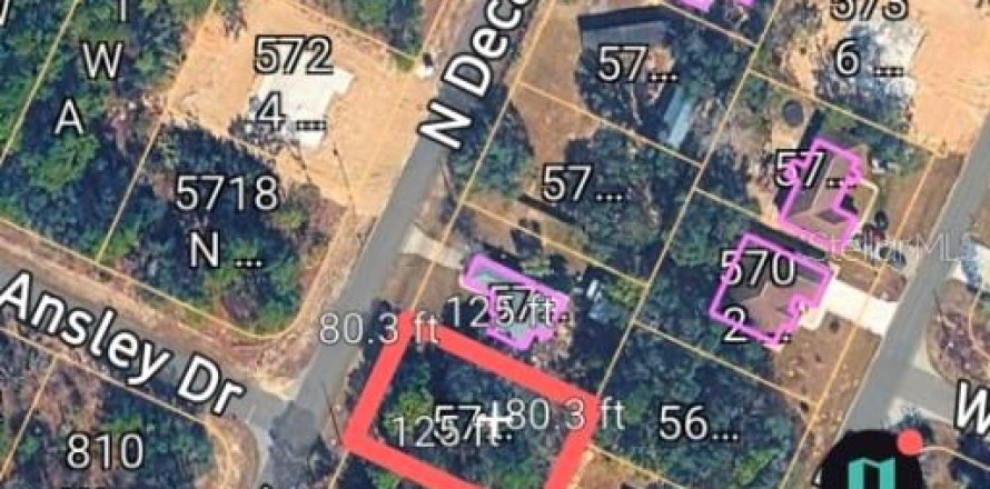 Terrain à Citrus Springs, Floride № 2233323
