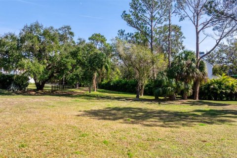 Land in Belleair, Florida № 1551763 - photo 4