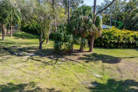 Land in Belleair, Florida № 1551763 - photo 6