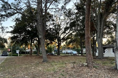 Terreno en venta en Gulfport, Florida № 1540316 - foto 11