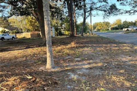 Terreno en venta en Gulfport, Florida № 1540316 - foto 5