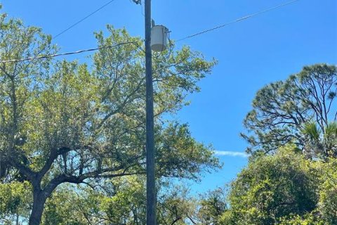 Terreno en venta en Port Charlotte, Florida № 1590520 - foto 6