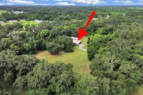Casa en venta en Seffner, Florida, 4 dormitorios, 350.43 m2 № 2197635 - foto 6