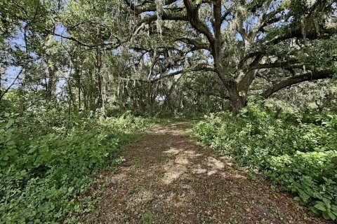 Casa en venta en Seffner, Florida, 4 dormitorios, 350.43 m2 № 2197635 - foto 17