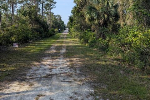 Land in Brooksville, Florida № 1733291 - photo 5