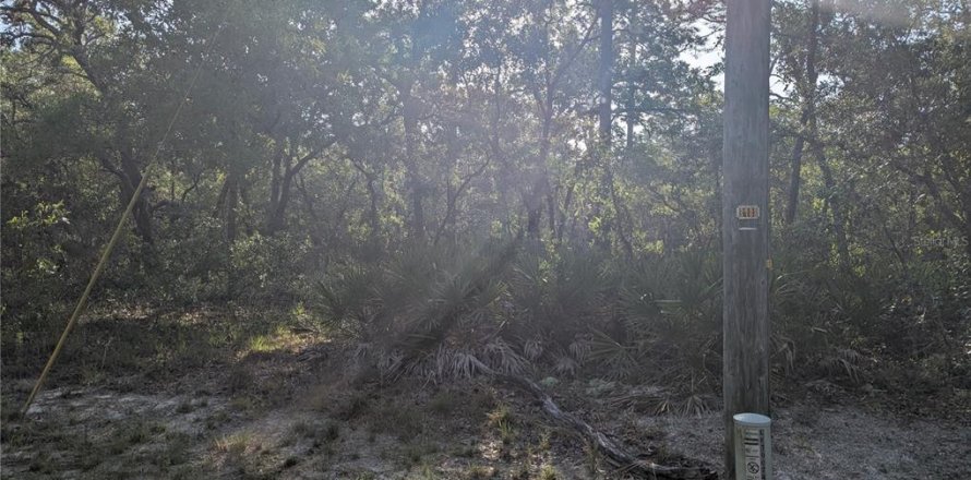 Land in Brooksville, Florida № 1733291