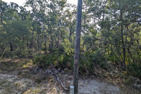 Land in Brooksville, Florida № 1733291 - photo 2