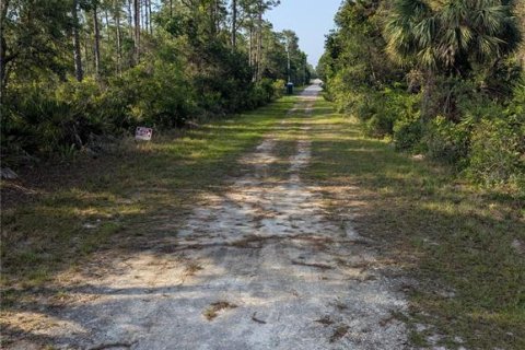 Land in Brooksville, Florida № 1733291 - photo 4