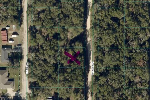 Terrain à Ocala, Floride № 2367508