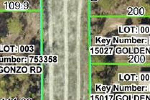 Land in Brooksville, Florida № 2159820 - photo 2