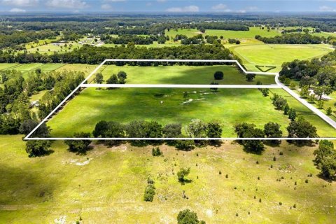 Land in Summerfield, Florida № 2229848 - photo 17