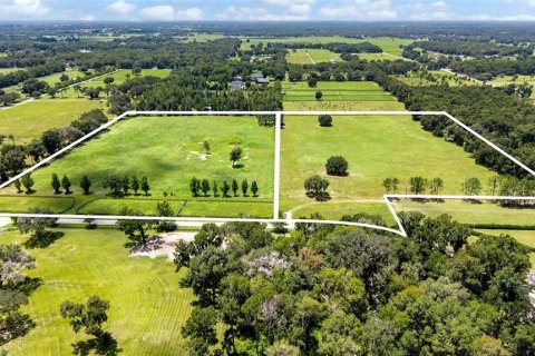 Land in Summerfield, Florida № 2229848 - photo 13