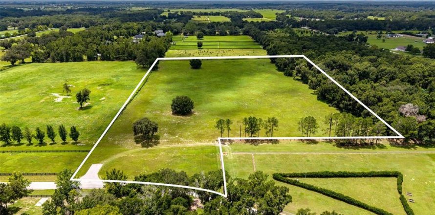 Land in Summerfield, Florida № 2229848