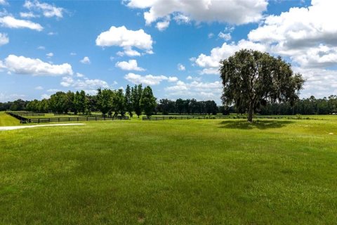 Land in Summerfield, Florida № 2229848 - photo 11
