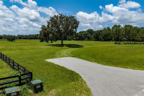 Land in Summerfield, Florida № 2229848 - photo 2