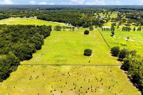 Land in Summerfield, Florida № 2229848 - photo 3