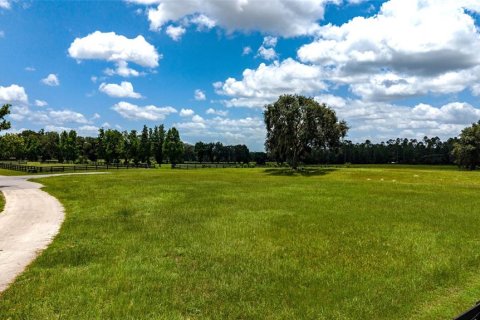 Land in Summerfield, Florida № 2229848 - photo 10