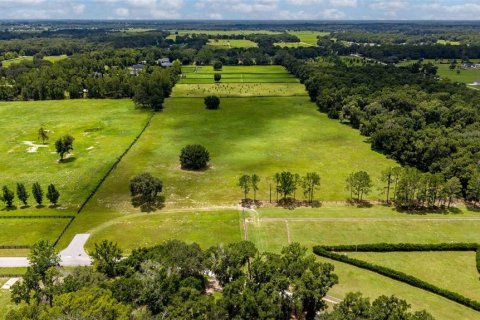 Land in Summerfield, Florida № 2229848 - photo 9