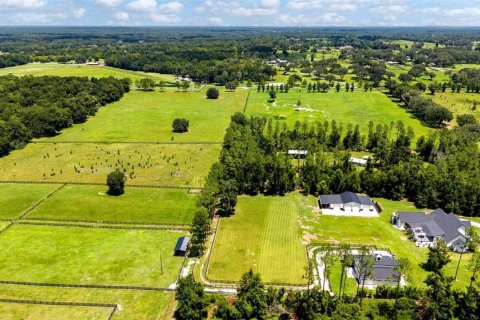 Land in Summerfield, Florida № 2229848 - photo 14