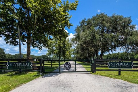 Land in Summerfield, Florida № 2229848 - photo 21