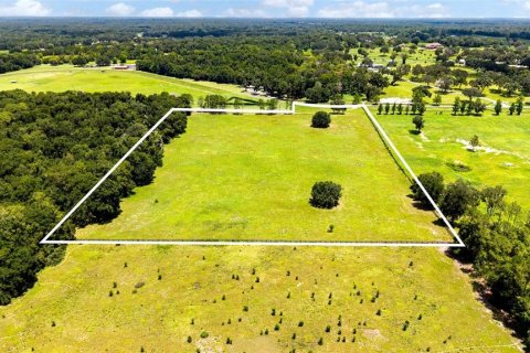 Land in Summerfield, Florida № 2229848 - photo 4