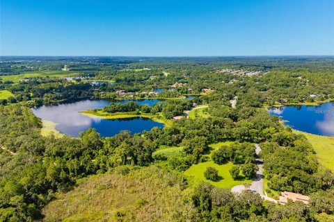 Land in DeLand, Florida № 1559780 - photo 17