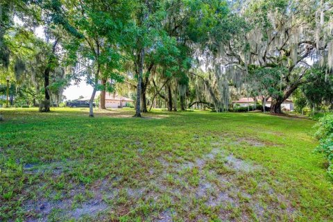 Land in DeLand, Florida № 1559780 - photo 5