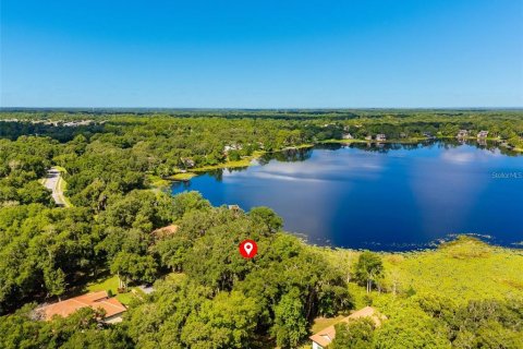 Land in DeLand, Florida № 1559780 - photo 7