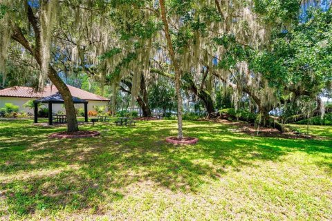 Land in DeLand, Florida № 1559780 - photo 21