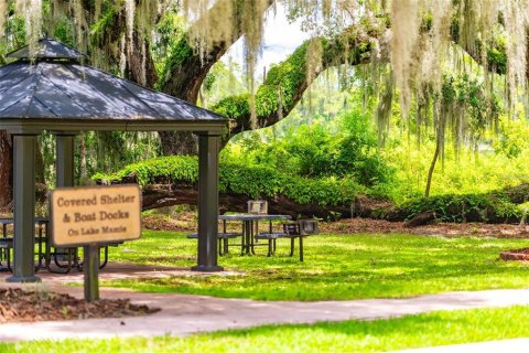 Land in DeLand, Florida № 1559780 - photo 19